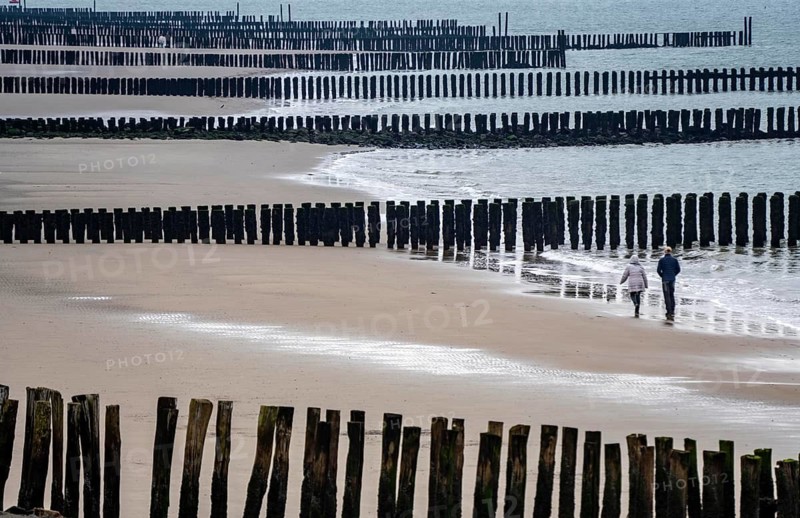Coastal protection, through wooden posts, paalhoofden, on the beach, breakwater, the piles, some of which are rammed into the sandy soil in double rows, slow down the waves and ocean currents and thus slow down the flow rate of seawater, so less sand is washed away from the stand, near Westkapelle, Walcheren peninsula in the Dutch province of Zeeland