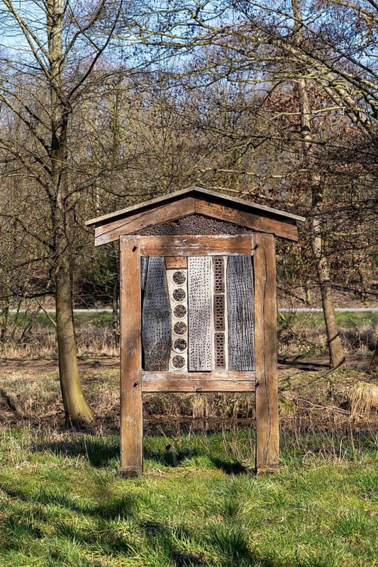 Insect hotel in the alder quarry forest, Rheda-Wiedenbrück, Westphalia, North Rhine-Westphalia, Germany