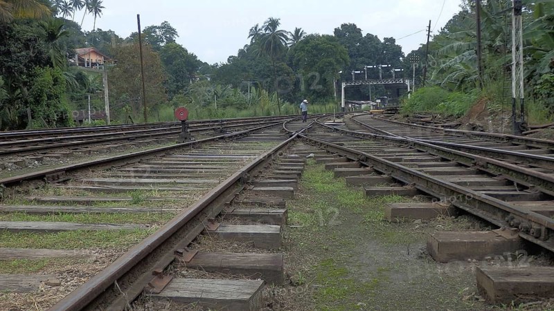 Branched railroad tracks surrounded by lush vegetation, palm trees and a man in the distance, Sri Lanka