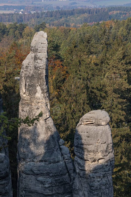 Trees growing on rocks. Fall foliage in the bohemian paradise. Prachov Rocks (Czech: Prachovské skály) are a rock formation in the Bohemian Paradise of the Czech Republic, close to the village of Prachov. Since 1933, they have been a protected natural reserve