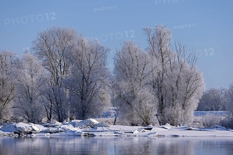 Ice floes, trees, wintery Elbe near Bleckede, Lower Saxony, Germany