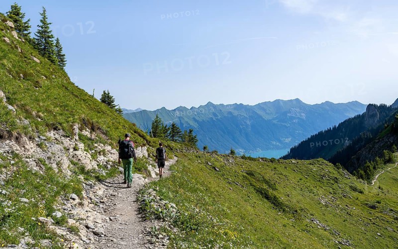 Hikers on a hiking trail on the Schynige Platte, picturesque mountain landscape, Bernese Alps, Bernese Oberland, Switzerland