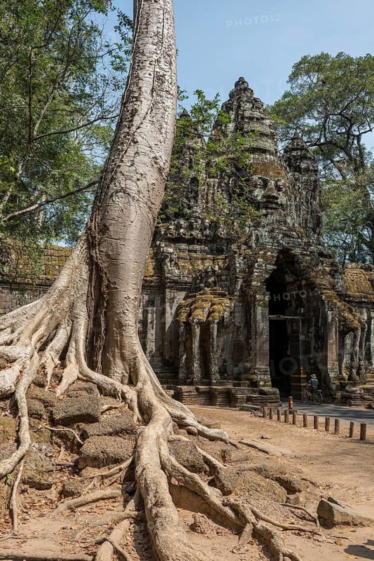 Tor tor with huge faces to Angkor Thom, Angkor Wat, Angkor, UNESCO World Heritage Site, Siem Reap, Cambodia, Indochina, Southeast Asia