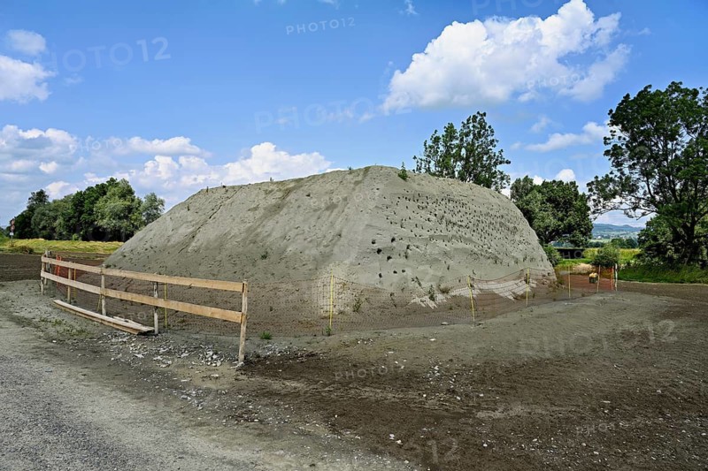 Artificially constructed breeding wall for sand martins (Riparia riparia), Reussegg nature reserve, Canton Aargau, Switzerland