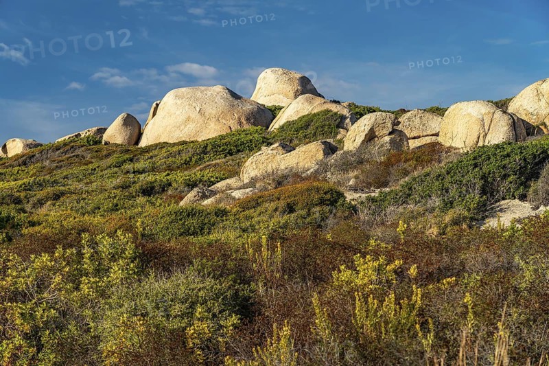 Rocks and scrub in the countryside at Punta di Spanu, Lumio, Corsica, France