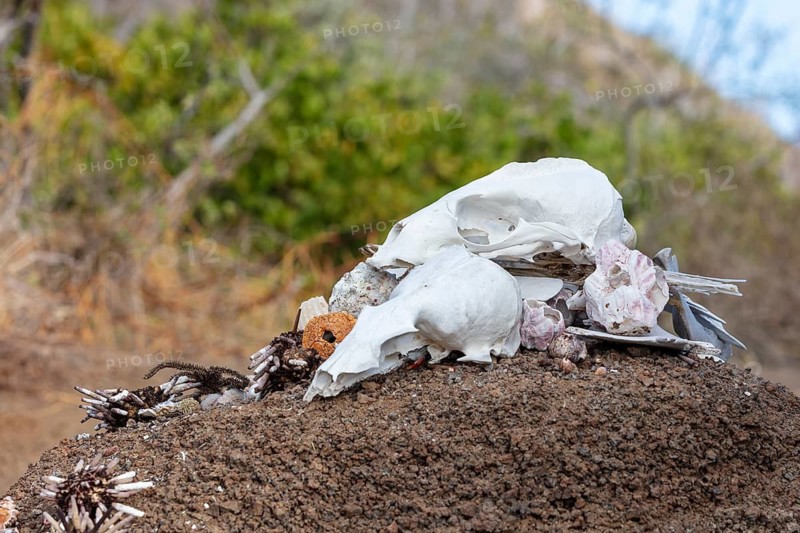 Galapagos, Ecuador