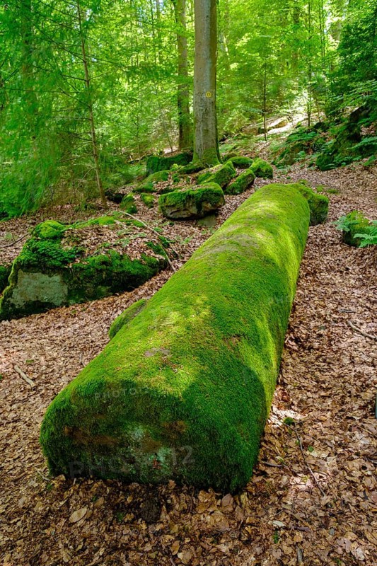 Hay columns, Mainbullau near Miltenberg, Odenwald, Lower Franconia, Franconia, Bavaria, Germany