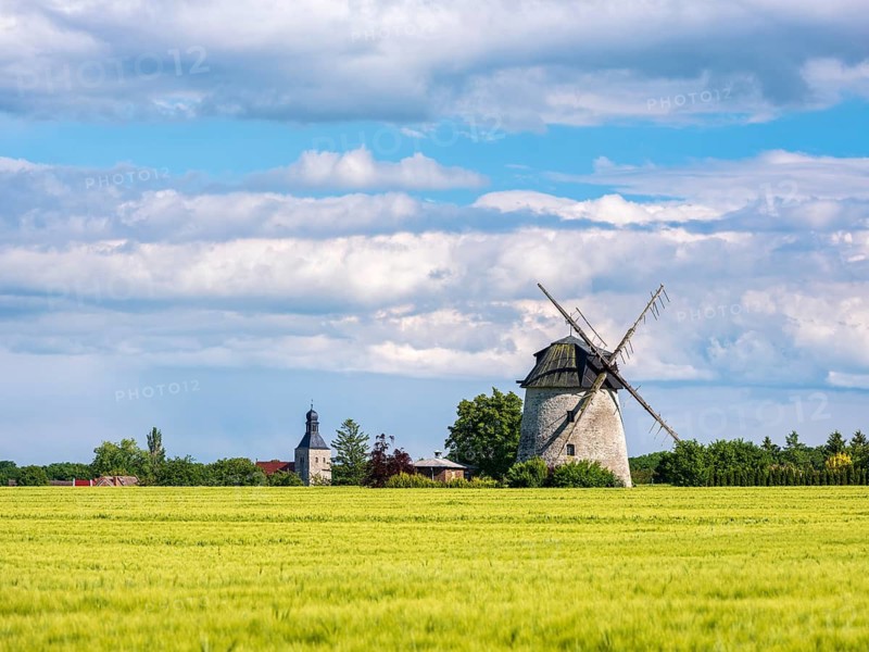 View over a green barley field to the tower windmill and the church tower of the small village of Ebersroda, Freyburg (Unstrut), Saxony-Anhalt, Germany