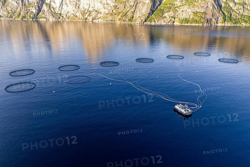 Aerial view of a salmon farm, aquaculture in the Mefjord on Senja island, Senja, Norway