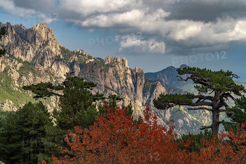 View of the Bavella Needles or Aiguilles de Bavella Mountains from the Col de Bavella Pass, Corsica, France