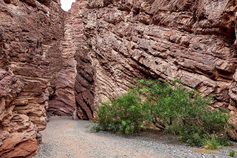 Deep rocky gorge with barren vegetation in earthy tones. Impression of a rough desert landscape, rock formation of the Quebrada de Cafayate near Salta in Argentina