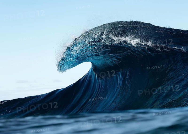 A stunning photograph captures the beauty of a large ocean wave cresting in the open sea against a clear sky, bathed in the soft glow of sunrise