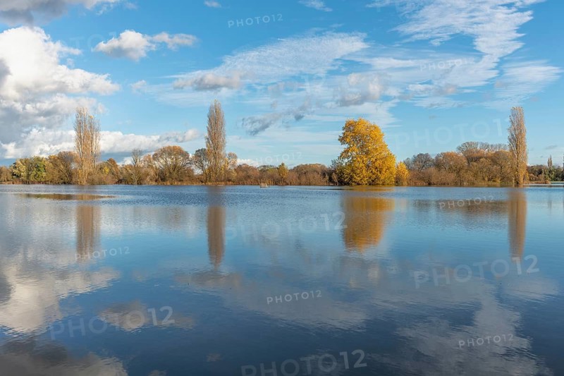 The river flows flat and reflects clouds and mountains under a clear sky. Autumn trees draw the shoreline. It is a quiet moment on the water's edge. Bas Rhin, Alsace, France