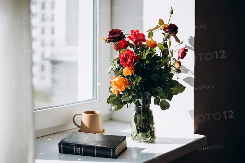 A peaceful setting featuring a Bible and a vase of colorful flowers on a sun-drenched windowsill, alongside a mug, creating a serene and contemplative atmosphere