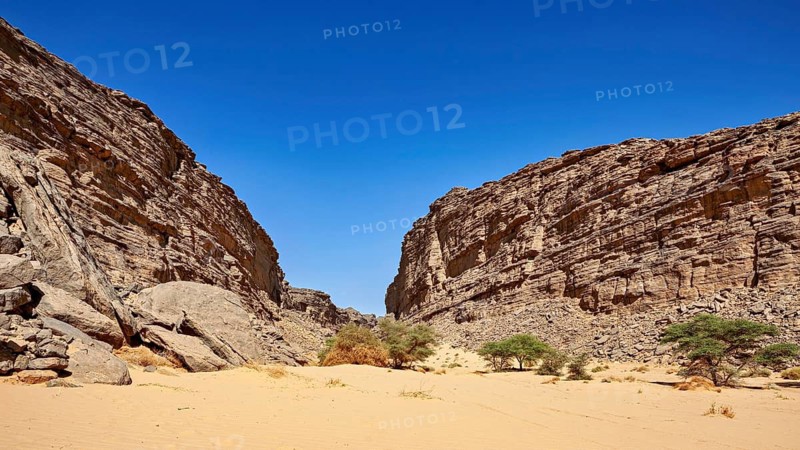 Narrow gorge with high rock faces under a bright blue sky, rocky gorge in the desert landscape of the Sahara in Algeria