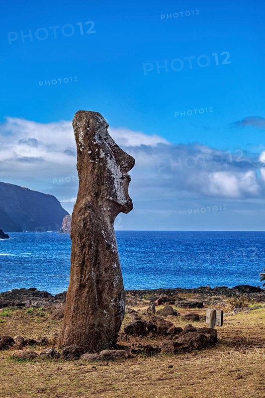 Single moai standing in front of the sea under a blue sky, the moai statues on Easter Island in the Pacific Ocean