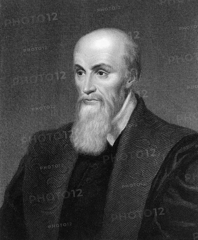 Michel de l'Hôpital or l'Hospital, 1507-1573, a French statesman