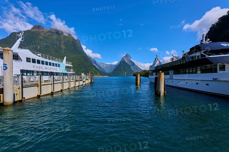 Harbour with large ships in the foreground, framed by majestic mountains and clear sky, summer, Milford Sound, Te Anau, Fiordland National Park, South Island, New Zealand