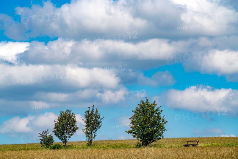 Landscape, pasture with high grass, vastness, clouds, summer in Hochsauerlandkreis, North Rhine-Westphalia. Germany