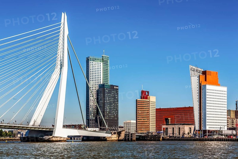 Erasmus Bridge, city panorama, Rotterdam, Netherlands