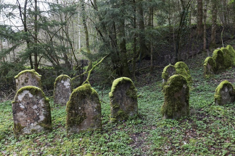 Jewish cemetery from the 18th century, weathered gravestones, Sulzburg, Markgräflerland, Upper Black Forest, Baden-Württemberg, Germany