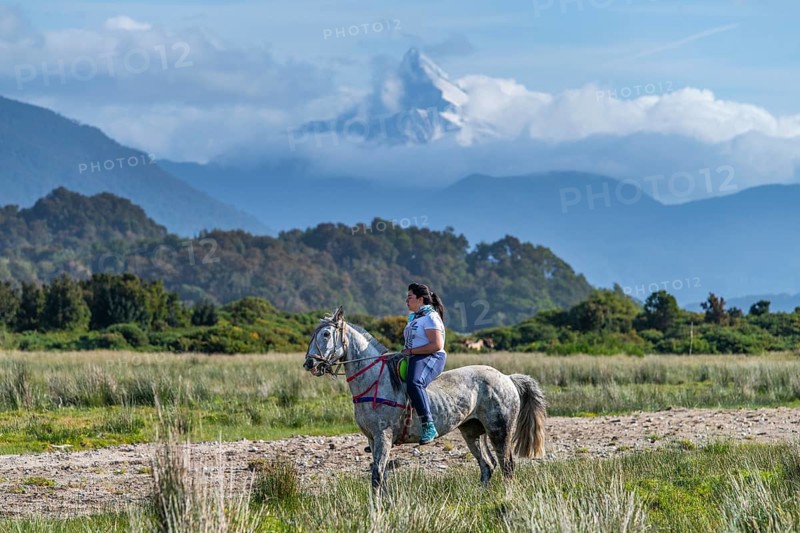 Rider on her horse at a gaucho horse race, Corcovado volcano in the background, Chaiten village, Pumalin-Douglas Tompkins National Park, Chaiten, Los Lagos region, Patagonia, Chile