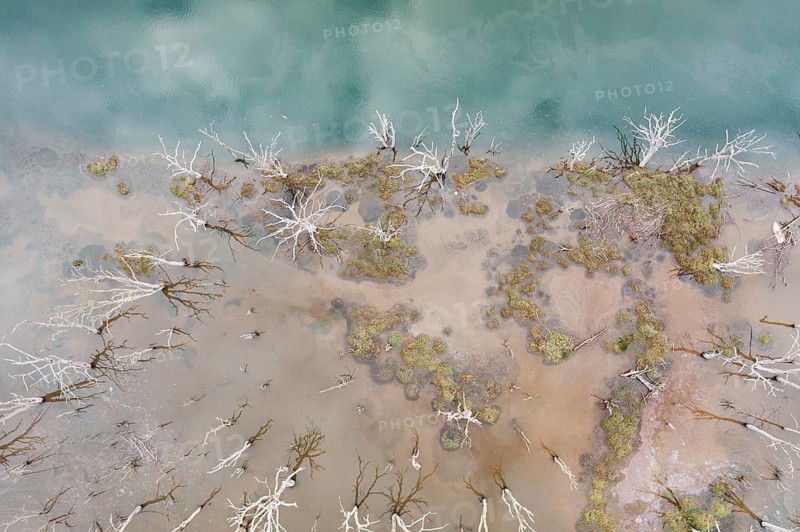 Aerial view of San Vicente de la Barquera's wetland in Cantabria, Spain, showcasing intricate textures and partially submerged vegetation near a calm water body, creating a serene landscape