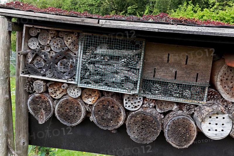 Insect hotel, Bergen, province of North Holland, Netherlands