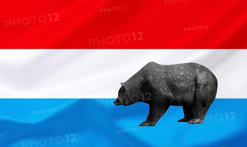 Stock exchange, shares, share prices in Luxembourg, bear market, falling prices, flag, national flag, bear, bull and bear, symbolic figures of the stock exchange, Luxembourg, Luxembourg, studio recording, Federal Republic of Germany