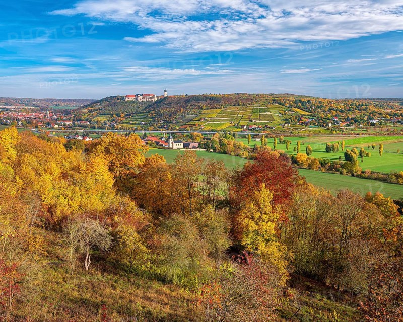 View of trees in full autumn colors into the Unstrut Valley, Neuenburg Castle in the back, vineyards and the town of Freyburg in autumn, Freyburg, Burgenlandkreis, Saxony-Anhalt, Germany