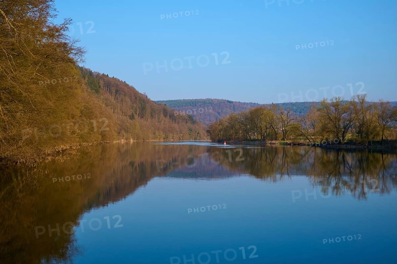Extensive river landscape with banks lined with forests and clear skies, Boxtal, Main-Boxtal, Tauber district, Baden-Württemberg, and Stadtprozelten, Dorfprozelten, Main, Spessart, Bavaria, Germany
