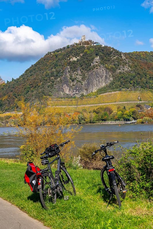 Cycle path on the Drachenfels, a mountain in the Siebengebirge on the Rhine between Bad Honnef and Königswinter, with Drachenfels castle ruins, boat traffic on the Rhine, North Rhine-Westphalia, Germany