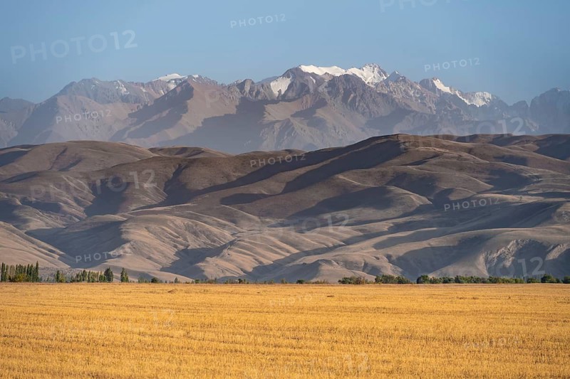 Field in front of barren erosion landscape and high mountains, Kyrgyzstan