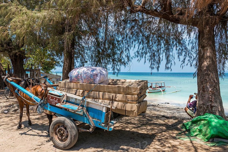 Traditional horse-drawn carriage, culture, everyday life, street scene, work, trade, transport, Gili Air, Indonesia