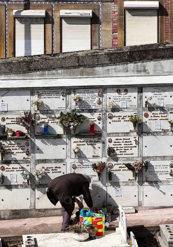Cemitério da Lapa, Lapa cemetery, a person tending a burial ground, beyond the wall the houses of the living, Porto, Portugal