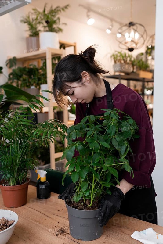 A young woman wearing gloves tends to a potted plant on a wooden table in a well lit indoor garden. Various plants and tools are visible, creating a serene atmosphere