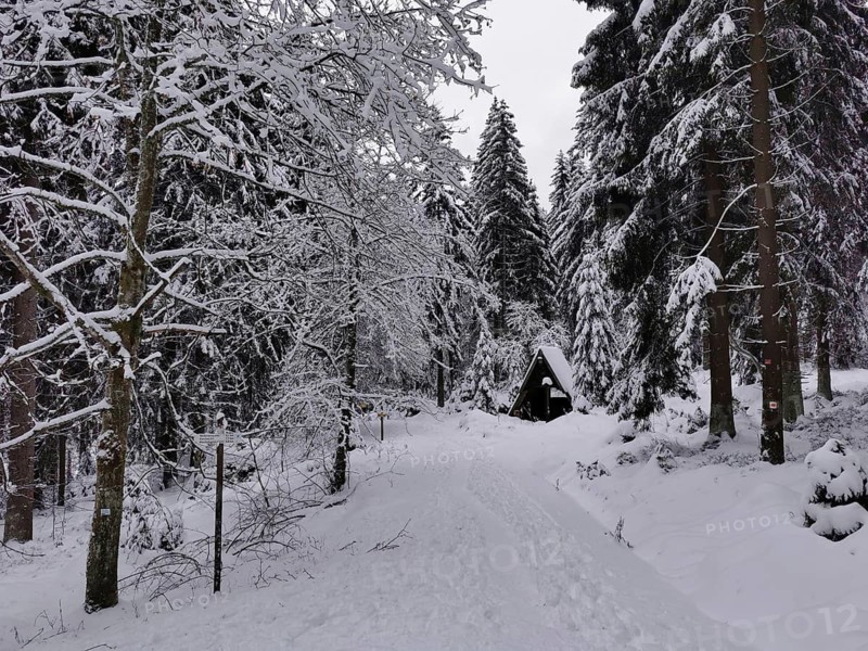 Winter forest trail with small huts, snow-covered and lined with tall trees, hiking in the Franconian Forest nature park Park