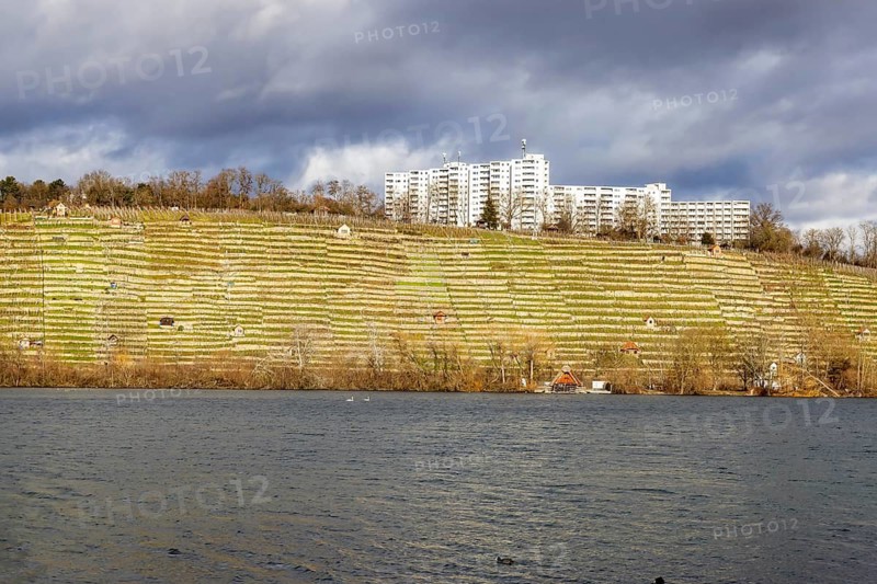 Max-Eyth-See in winter, vineyards and housing estate in the Freiberg district. Stuttgart, Baden-Württemberg, Germany
