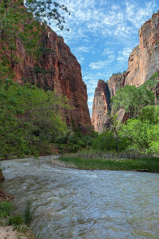 Virgin River runs between sandstone rock formations along the Riverside Walk in the Temple of Sinawava area of Zion National Park, Utah, USA
