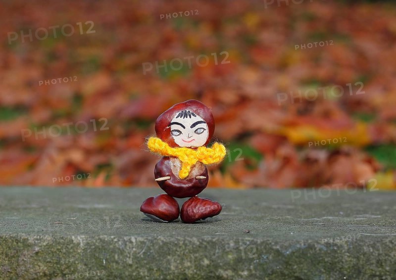 Funny chestnut figure with yellow scarf on a wall, North Rhine-Westphalia, Germany