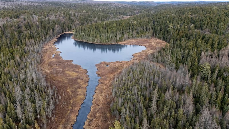 Lake in a swamp area. Region of La Mauricie. Province of Quebec. Canada