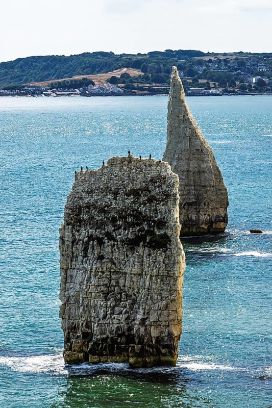 White Cliffs of Old Harry Rocks Jurassic Coast, Handfast Point, Dorset, UK