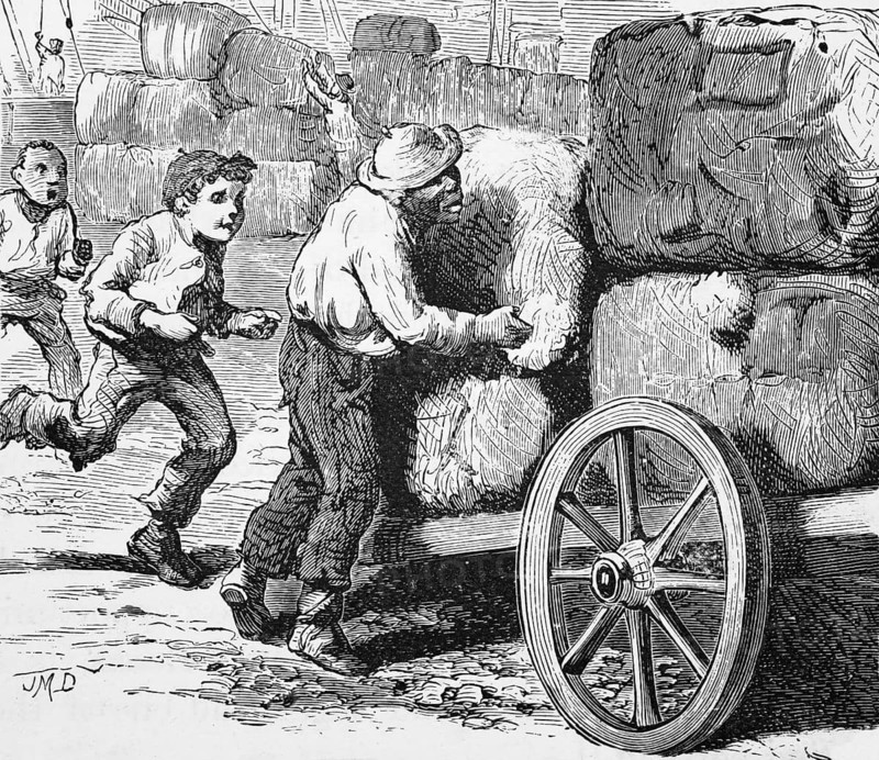 A cotton thief, Louisiana, around 1870, America, digital reproduction of a historical model