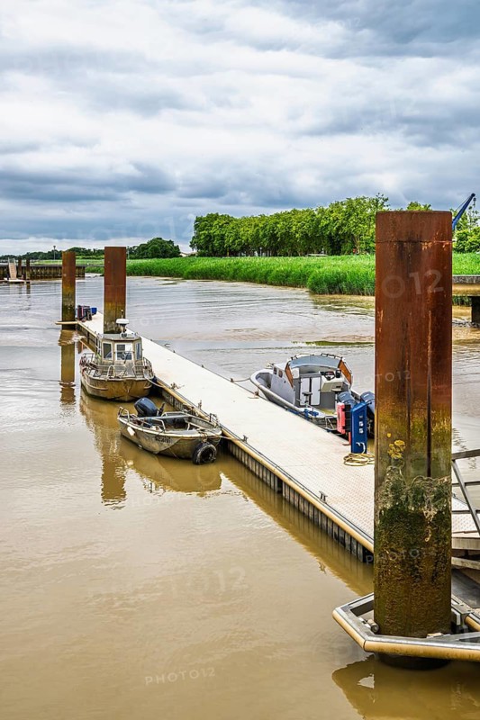 Pauillac, Gironde Estuary, Bordeaux, Gironde, Nouvelle-Aquitaine, France