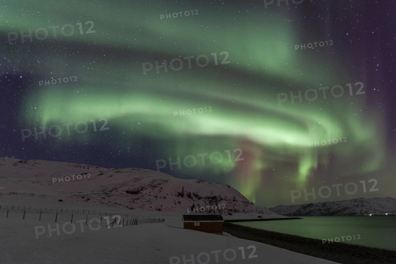 Green and violet northern lights over a red house on the coast, aurora borealis, winter, snow, Repparfjord, Finnmark, Norway