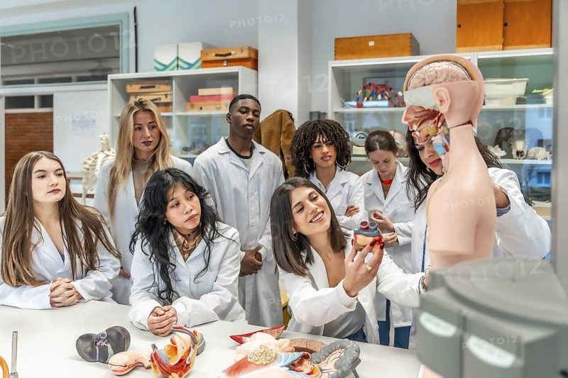 Group of diverse medical students learning human anatomy using anatomical models in a university laboratory