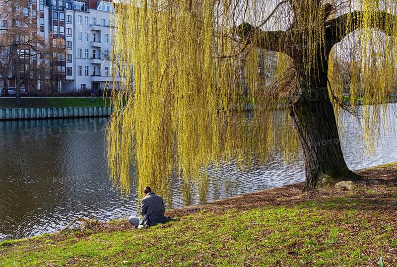 A woman relaxing under a weeping willow, Berlin, Germany