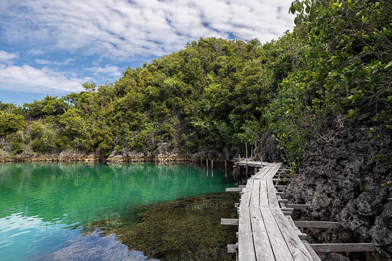 A serene scene of a wooden walkway beside crystal clear waters, nestled among lush green islands of the Raja Ampat Archipelago in Indonesia, captured by a drone