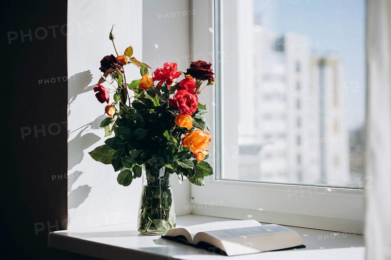 A vibrant bouquet of roses in a glass vase sits beside an open Bible on a sunlit windowsill, creating a serene and contemplative atmosphere in the room