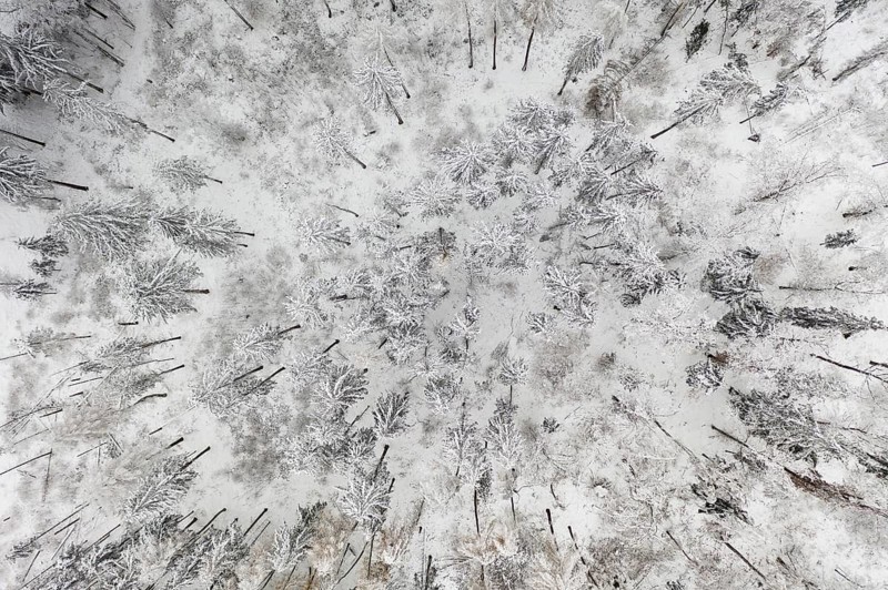 Aerial view of a snow-covered coniferous forest near Oederan, Saxony, Germany